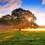 Avatar Iván Téllez